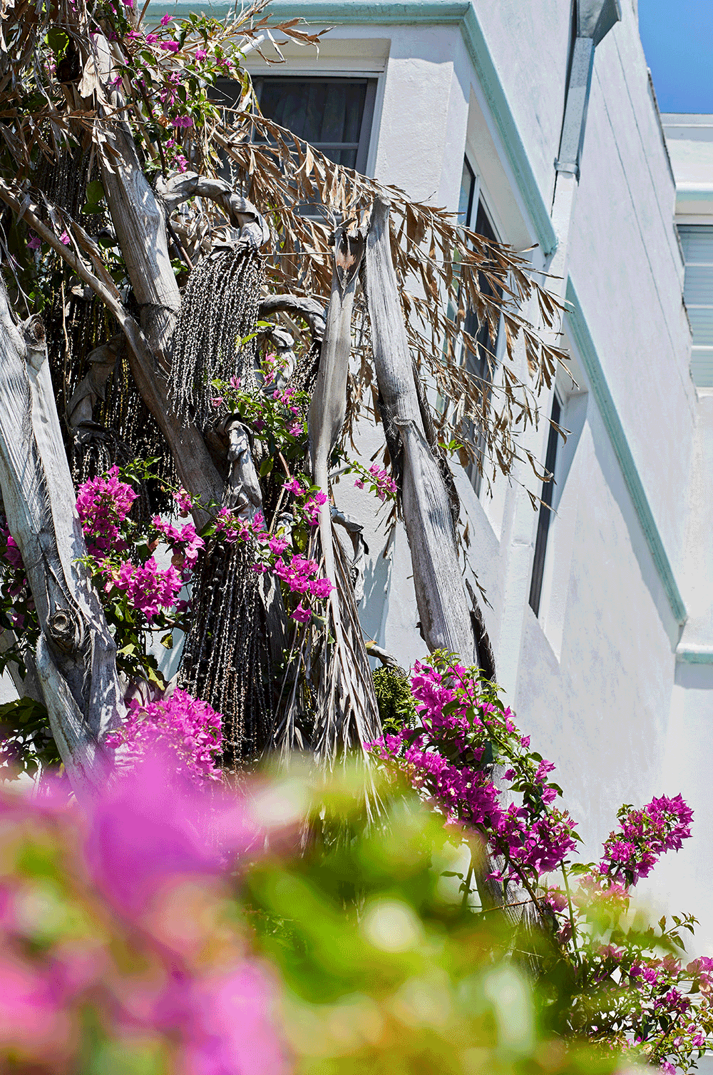 primark-womens-high-summer